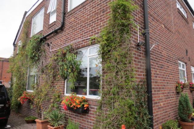 Hunters Lodge Guest House Southampton Dış mekan fotoğraf
